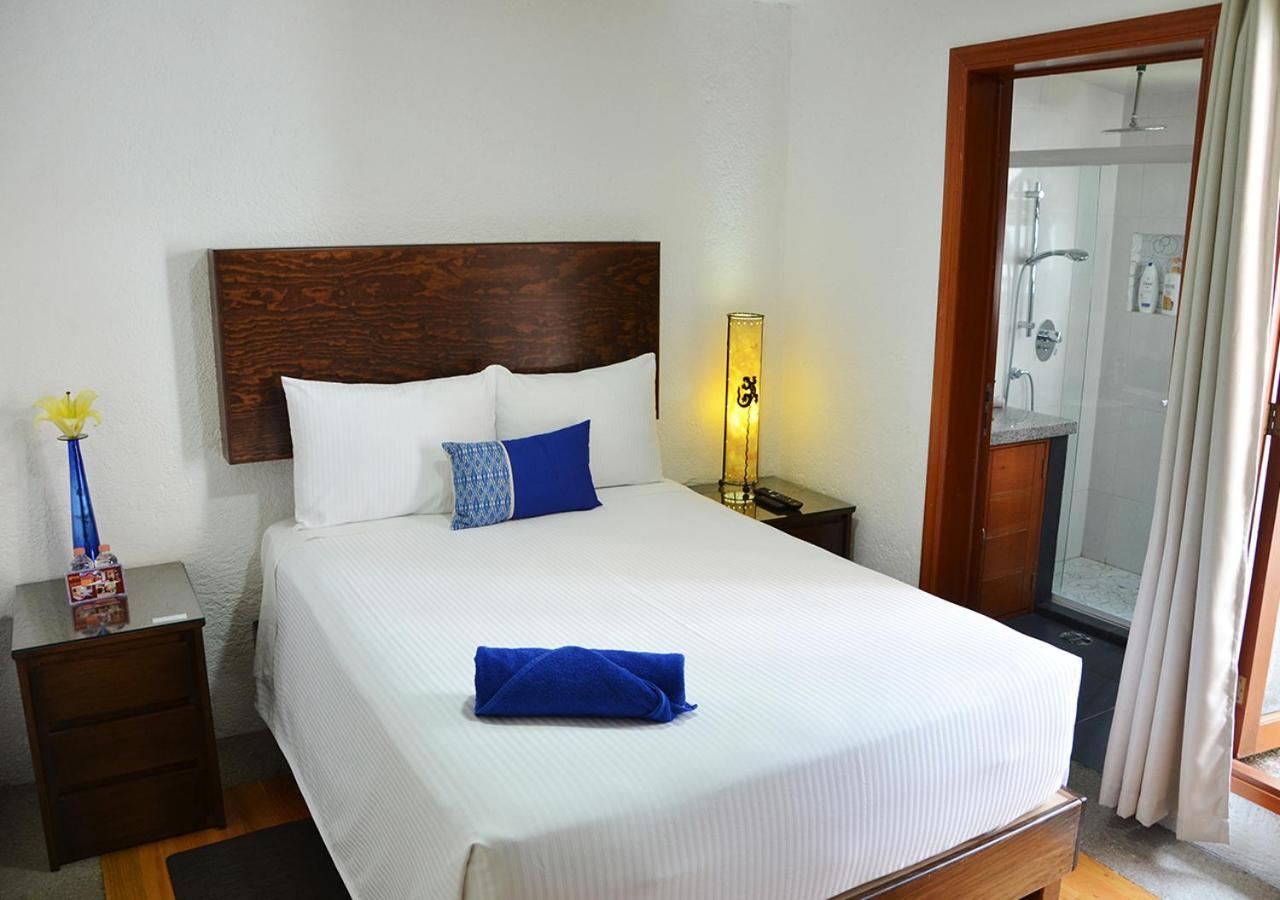 Casa Coyoacan Meksika Dış mekan fotoğraf