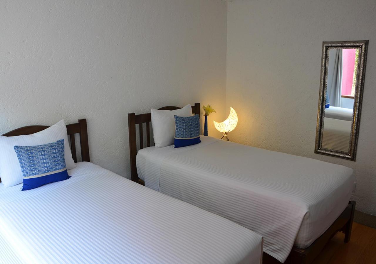 Casa Coyoacan Meksika Dış mekan fotoğraf